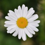test1